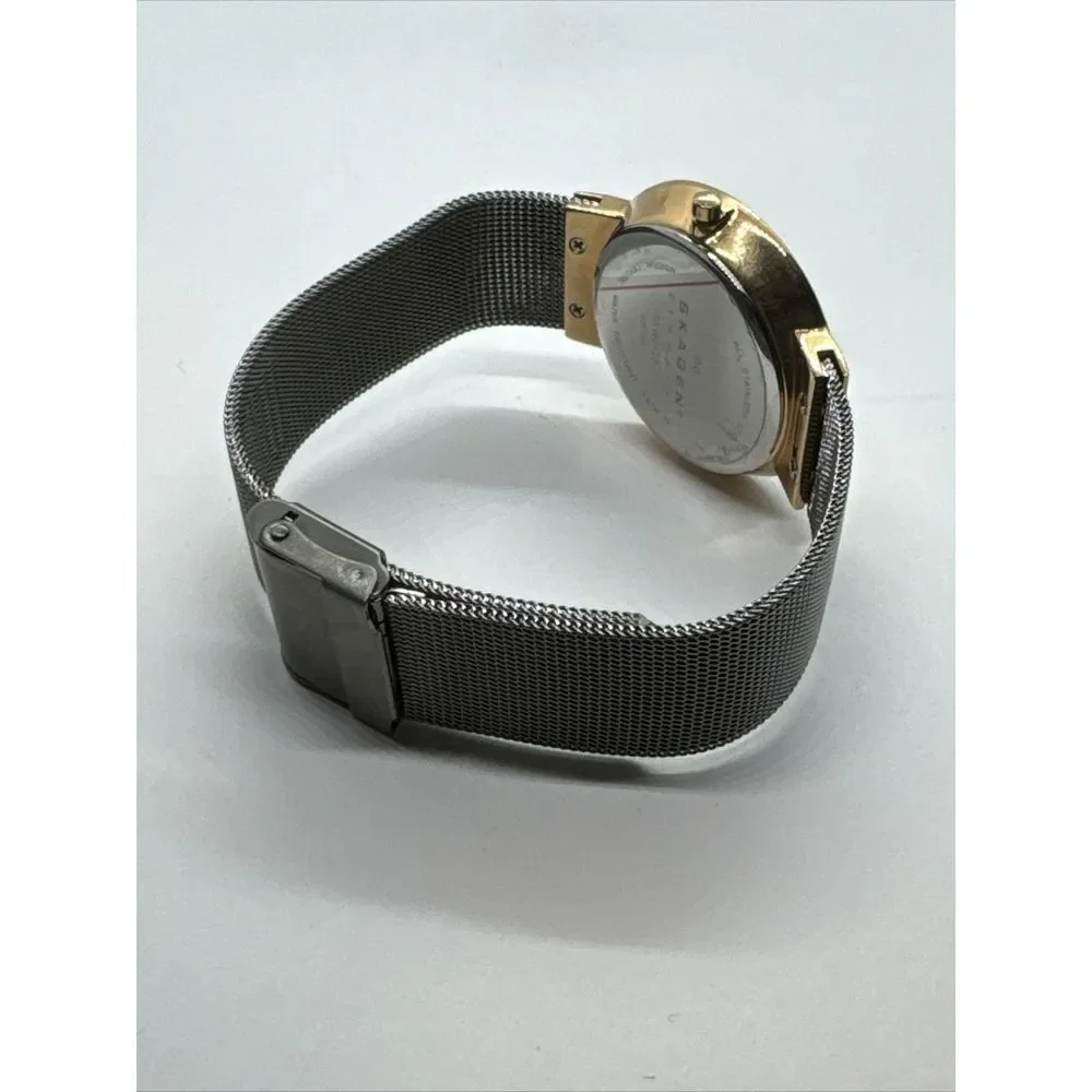 Skagen SKW2120 Women's Gray Stainless Steel Mesh Analog Dial Quartz Watch JNA916